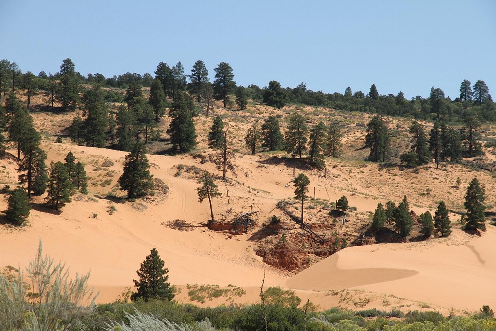 Coral Pink Sand Dunes State Park