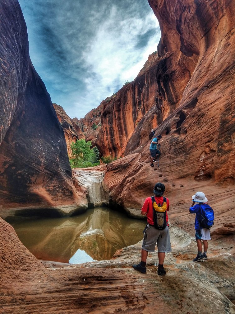 Red Cliffs National Conservation Area
